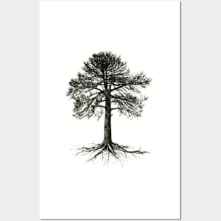 Tree Posters and Art